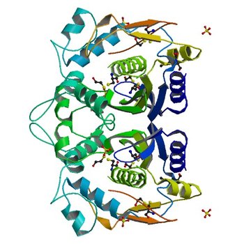 CRYSTAL STRUCTURE ANALYSIS OF ALA167 MUTANT OF ESCHERICHIA COLI (1EV5)