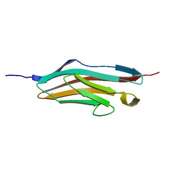 HIGH RESOLUTION REFINEMENT OF TELOKIN (1FHG)