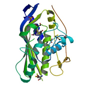 CRYSTAL STRUCTURE ANALYSIS OF SER254 MUTANT OF ESCHERICHIA COLI THYMIDYLATE SYNTHASE (1QQQ)