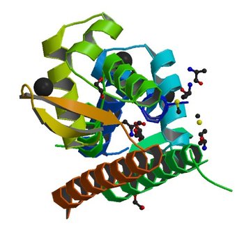 X-ray crystal structure of putative HTH transcription regulator from Archaeoglobus fulgidus (1SFX)