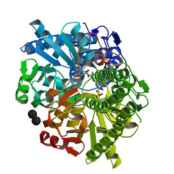 X-ray crystal structure of aIF-2B alpha subunit-related translation initiation factor [Thermotoga maritima] (1T9K)