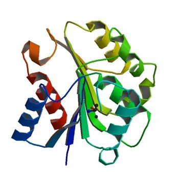 The crystal structure of the ydeN gene product from B. subtilis (1UXO)