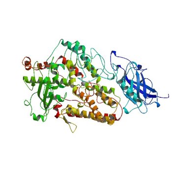 LIPOXYGENASE-1 (SOYBEAN) AT 100K (1YGE)