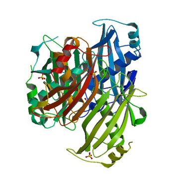 Crystal Structure of the PA5185 protein from Pseudomonas Aeruginosa Strain PAO1. (2AV9)