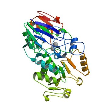 Crystal Structure of a Protein of Unknown Function from Enterococcus faecalis V583 (2AZ4)