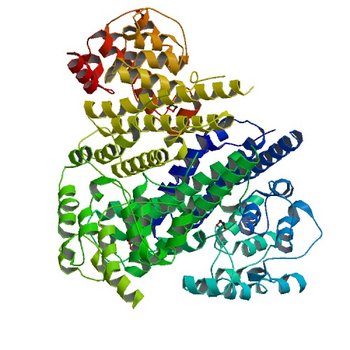 The Crystal Structure of Protein PA2201 from Pseudomonas aeruginosa (2FEF)