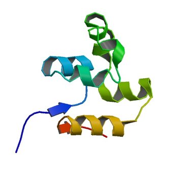 The crystal structure of the conserved domain protein from Streptococcus pneumoniae TIGR4 (2FI0)