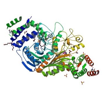 The structure of a putative malate/lactate dehydrogenase from E. coli. (2G8Y)