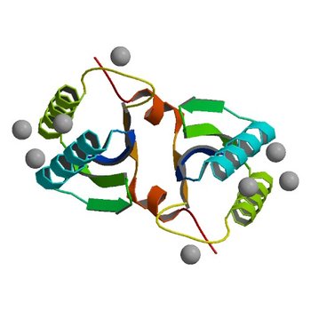 Structure of SSO1404, a predicted DNA repair-associated protein from Sulfolobus solfataricus P2 (2I8E)