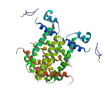 Crystal structure of SCO3833, a member of the TetR transcriptional regulator family from Streptomyces coelicolor A3 (2IAI)