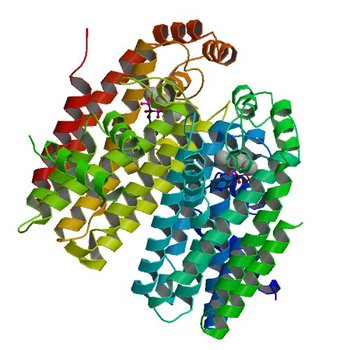 Cryptosporidium parvum putative polyprenyl pyrophosphate synthase (cgd4_2550) in complex with risedronate. (2O1O)