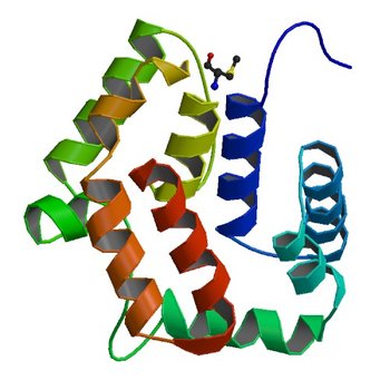 Crystal Structure Of A Putative Redox Enzyme Maturation Protein From Archaeoglobus Fulgidus (2O9X)