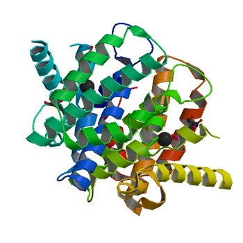 Crystal structure of the 5'-deoxynucleotidase YfbR mutant E72A complexed with Co(2+) and TMP (2PAR)