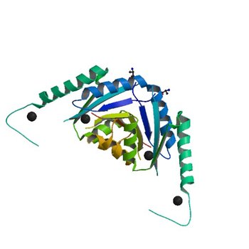 Crystal structure of universal stress protein from Nitrosomonas europaea (2PFS)