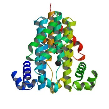 Crystal structure of TetR transcriptional regulator SCO0520 from Streptomyces coelicolor (2Q24)