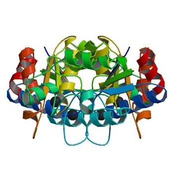 Crystal structure of dethiobiotin synthetase (bioD) from Helicobacter pylori (2QMO)