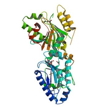 Crystal structure of PA0076 from Pseudomonas aeruginosa PAO1 at 2.05 A resolution (2QNU)