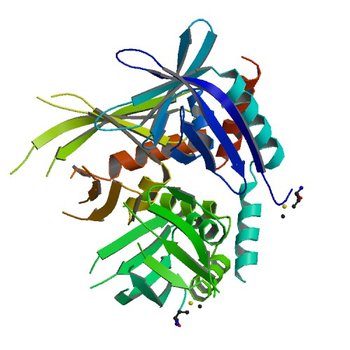 Crystal structure of SsgA-like sporulation-specific cell division protein (YP_290167.1) from Thermobifida fusca YX-ER1 at 2.60 A resolution (3CM1)