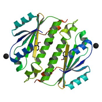 Crystal structure of a domain of a putative ABC type-2 transporter from Thermotoga maritima MSB8 (3CNI)