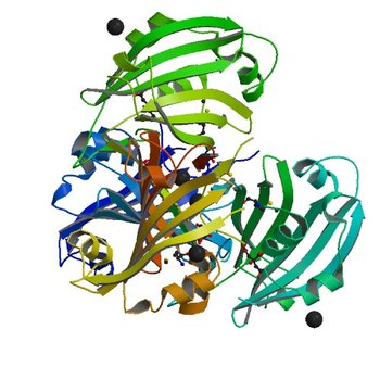 Crystal structure of the ligand-binding domain of a putative GntR-family transcriptional regulator from Bordetella bronchiseptica (3CNV)