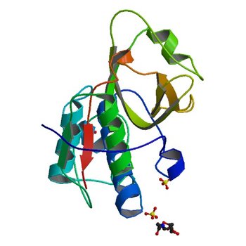 Crystal structure of mite allergen Der f 1 (3D6S)