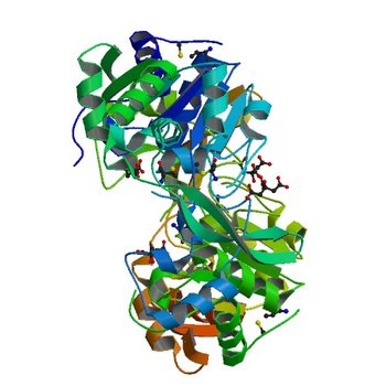 Crystal structure of BA2930- a putative aminoglycoside N3-acetyltransferase from Bacillus anthracis (3E4F)