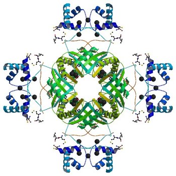 Crystal structure of AsnC family transcriptional regulator from Agrobacterium tumefaciens (3I4P)