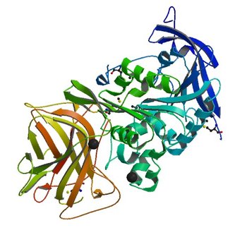 Crystal Structure of SACOL2612 - CocE/NonD family hydrolase from Staphylococcus aureus (3IB3)