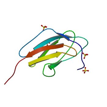 Crystal structure analysis of dengue-1 envelope protein domain III (3IRC)