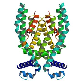 Structure of a putative tetr transcriptional regulator (pa3699) from pseudomonas aeruginosa pa01 (3KKD)