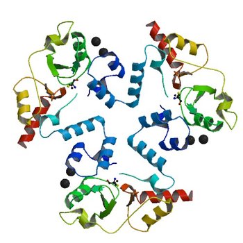 Structure of the cystathionine beta-synthase pair domain of the putative Mg2+ transporter SO5017 from Shewanella oneidensis MR-1. (3KXR)