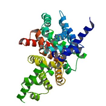 Crystal structure of putative transcriptional regulator ycdc (3LOC)