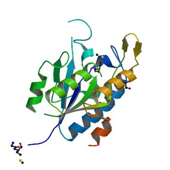 Crystal structure of putative isochorismatase hydrolase from Oleispira antarctica (3LQY)