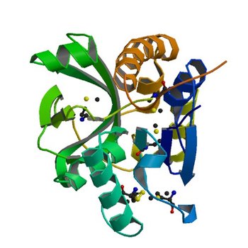 Crystal structure of glutamine amido transferase from Methylobacillus Flagellatus (3M3P)