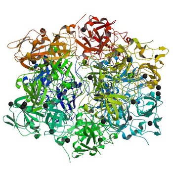 Crystal structure of TM1086 (3N99)