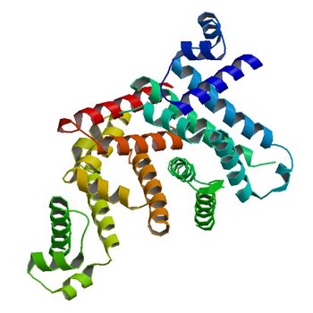 Crystal structure of the TetR transcriptional regulator from Nitrosomonas europaea ATCC 19718 (3NI7)