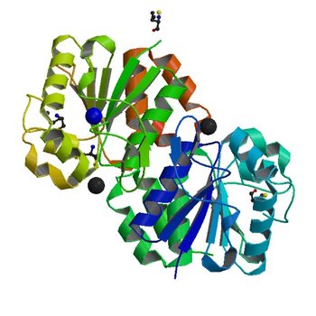 Crystal structure of VC2308 protein (3OT1)