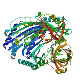 Crystal structure of putative modulator of gyrase (PmbA) from Pseudomonas aeruginosa PAO1 (3QTD)