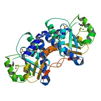 Crystal Structure of Mouse Apolipoprotein A-I Binding Protein in Complex with Thymidine 3'-monophosphate (3ROG)