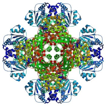 Crystal structure of tm0922, a fusion of a domain of unknown function and ADP/ATP-dependent NAD(P)H-hydrate dehydratase from Thermotoga maritima in complex with AMP (3RRB)