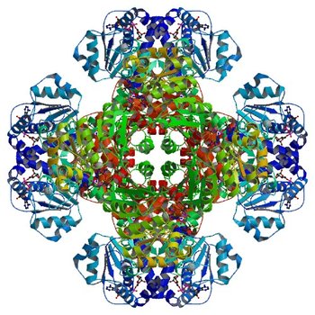 Crystal structure of tm0922, a fusion of a domain of unknown function and ADP/ATP-dependent NAD(P)H-hydrate dehydratase from Thermotoga maritima in complex with ADP-ribose (3RS8)