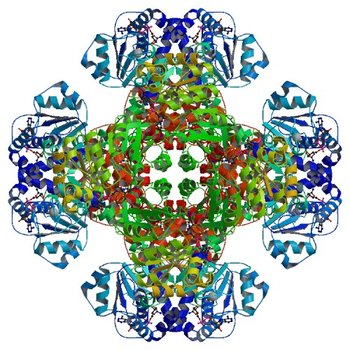 Crystal structure of tm0922, a fusion of a domain of unknown function and ADP/ATP-dependent NAD(P)H-hydrate dehydratase from Thermotoga maritima soaked with NADH (3RSQ)