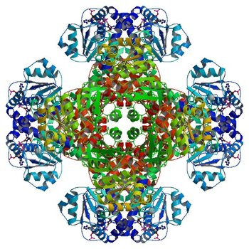 Crystal structure of tm0922, a fusion of a domain of unknown function and ADP/ATP-dependent NAD(P)H-hydrate dehydratase from Thermotoga maritima soaked with NADP (3RSS)