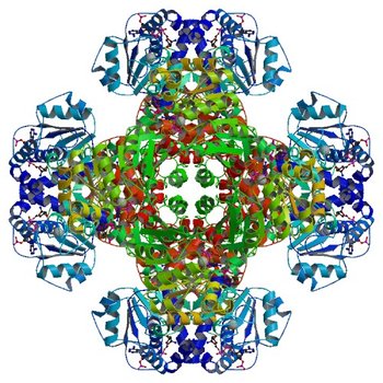 Crystal structure of tm0922, a fusion of a domain of unknown function and ADP/ATP-dependent NAD(P)H-hydrate dehydratase from Thermotoga maritima soaked with NADP and ATP. (3RTE)