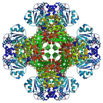 Crystal structure of tm0922, a fusion of a domain of unknown function and ADP/ATP-dependent NAD(P)H-hydrate dehydratase from Thermotoga maritima soaked with NADPH and ATP. (3RU3)