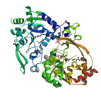 Crystal structure of BA2930 in complex with AcCoA and cytosine (3SLB)