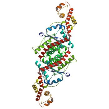 Crystal structure of Tryptophanyl-tRNA synthetase from Vibrio cholerae with an endogenous tryptophan (3SZ3)