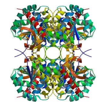 Crystal structure of Bacillus anthracis str. Ames malate dehydrogenase in closed conformation. (3TL2)