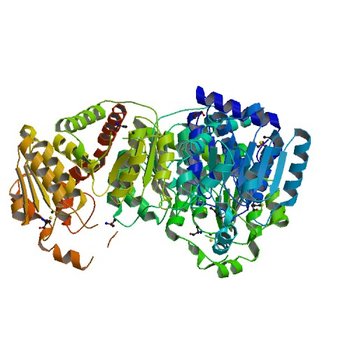 Crystal structure of anabolic ornithine carbamoyltransferase from Campylobacter jejuni subsp. jejuni NCTC 11168 (3TPF)