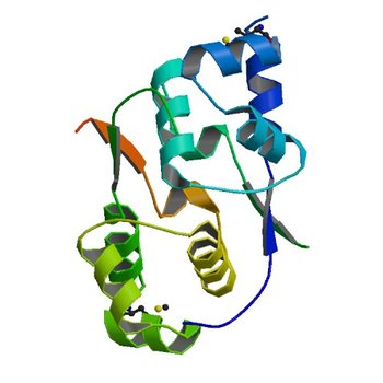 Crystal structure of transcriptional regulator VanUg, Form I (3TYR)